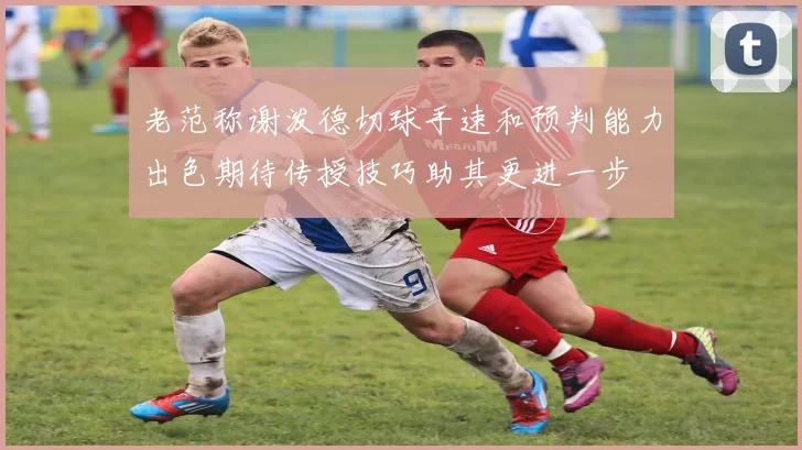 老范称谢泼德切球手速和预判能力出色期待传授技巧助其更进一步