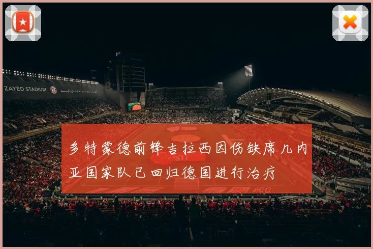 多特蒙德前锋吉拉西因伤缺席几内亚国家队已回归德国进行治疗